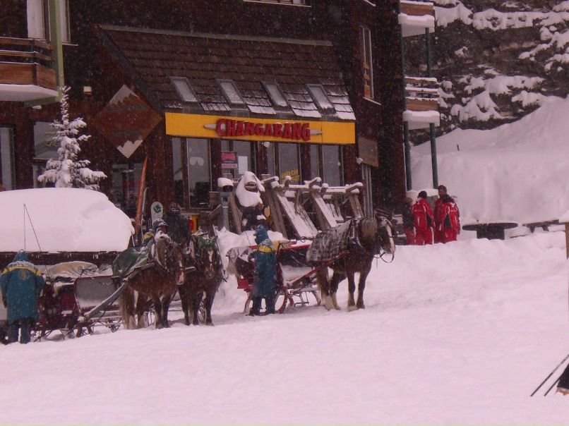 Андрей Антипов | Москва