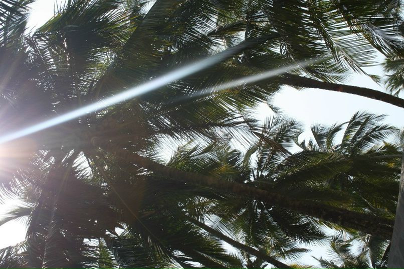 Игорь Осипов | Алапаевск