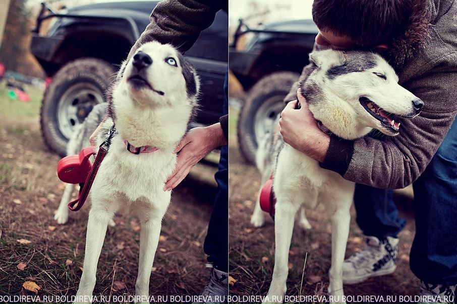 №65, Сергей Болдырев, 36 лет, Москва, Россия №65, Сергей Болдырев, 36 лет, Москва, Россия