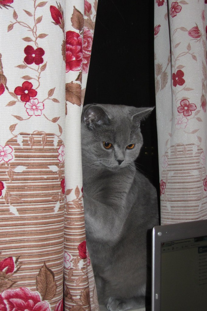 Татьяна Авдеева | Москва