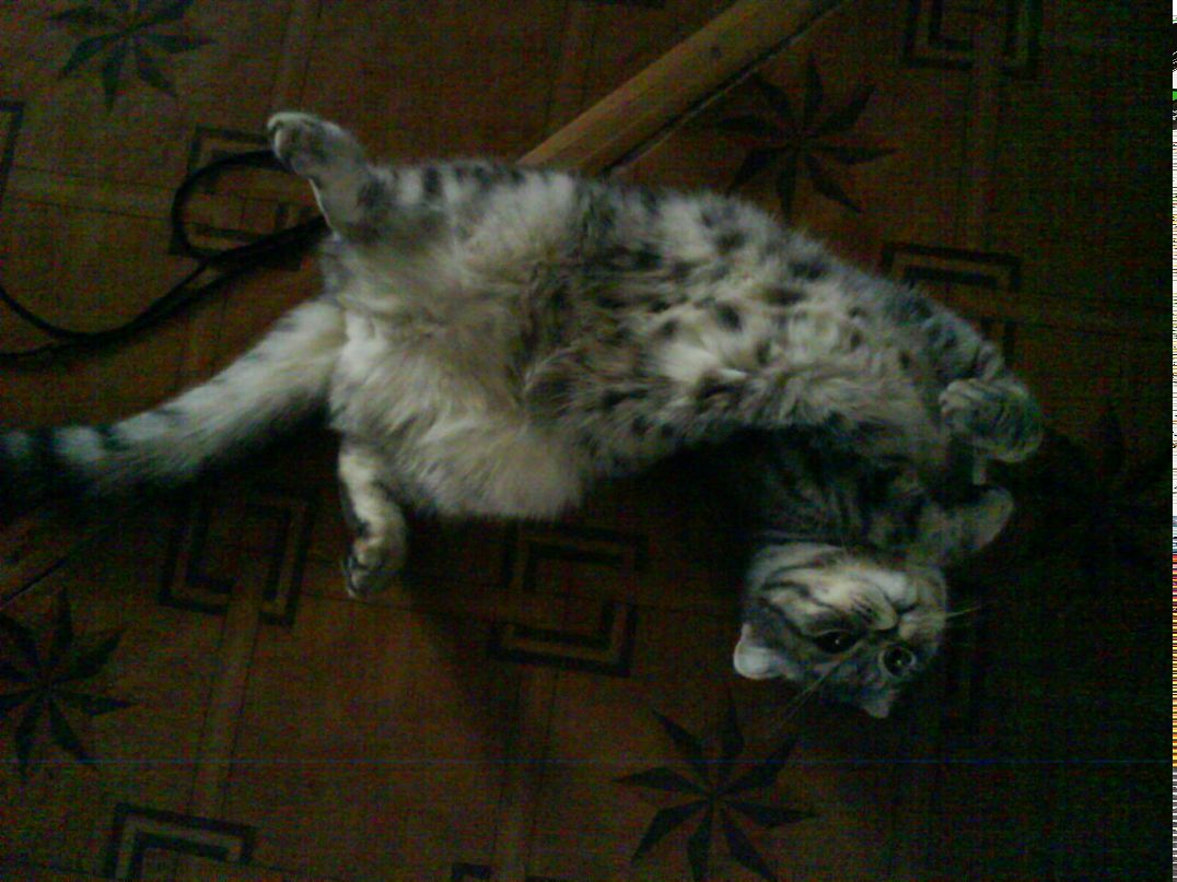 Gulnaz A.r. | Казань