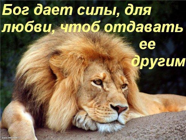 №11, Марина Хачина, Jerez de la Frontera №11, Марина Хачина, Jerez de la Frontera