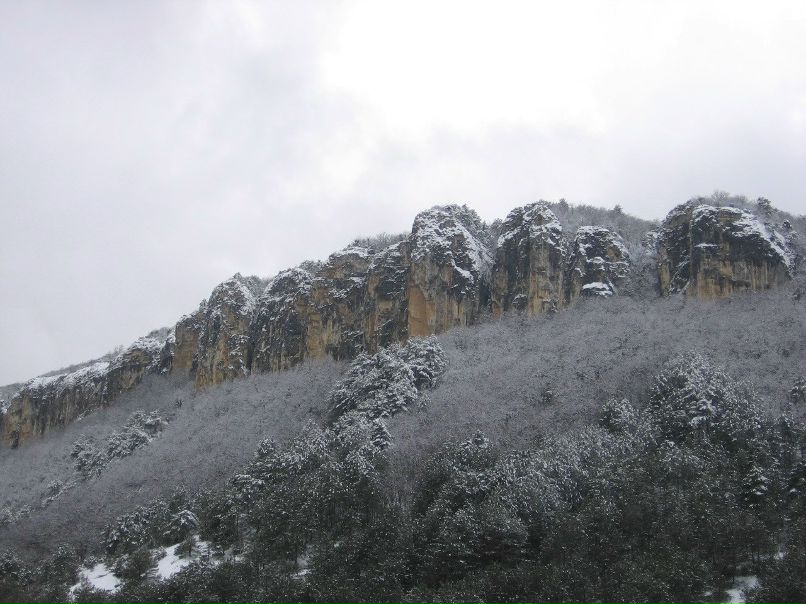 Оксана Коляденкова | Саранск
