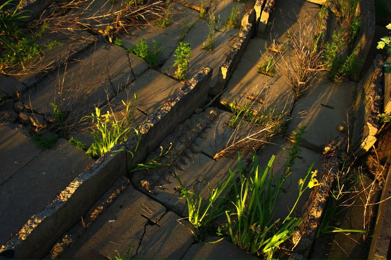 Александр Карасев Сергеевич | Санкт-Петербург