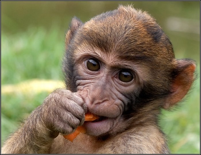 Вадим Лахтиков | Могилёв