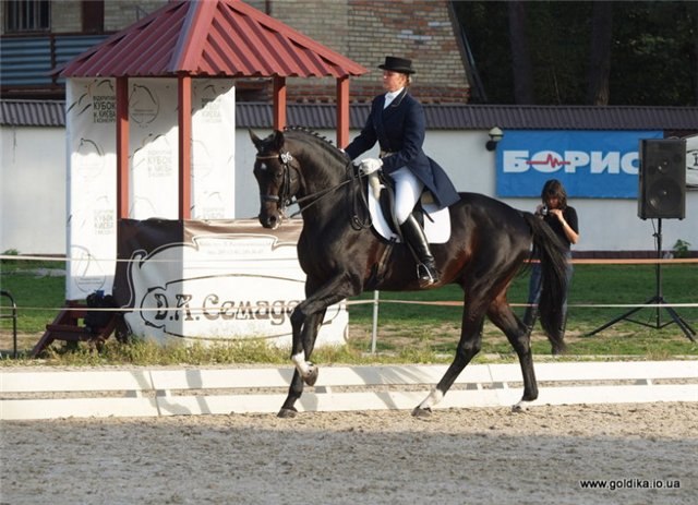 Алина Заколодная жужа | Черкассы