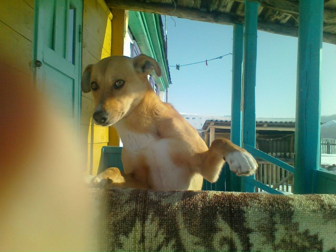 Рамиль Амирханов | Уфа