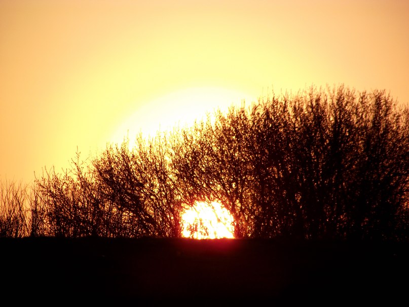 Женек Востров | Мариинский Посад