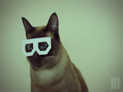 Максим Максимчук | Черновцы