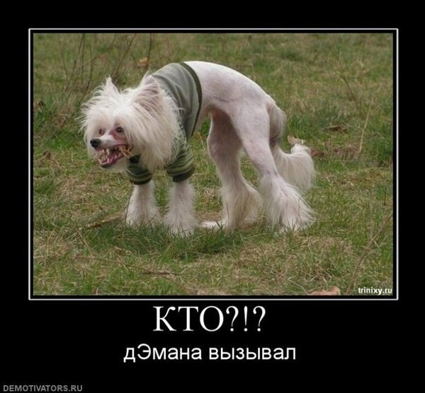 Оля Миронова | Москва