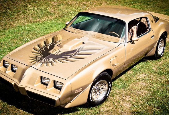 Tyoma Fedorov | Мариуполь