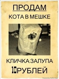 Артем Капралов | Казань