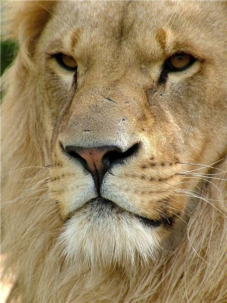 Роман Алексеев | Новосибирск