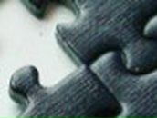 Алекс Пауков * | Pointe-à-Pitre