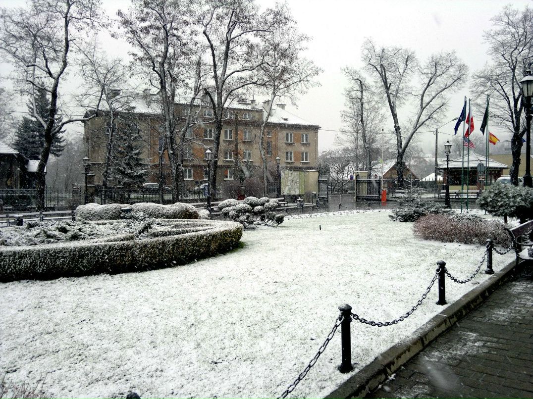 Александра Носова | Москва