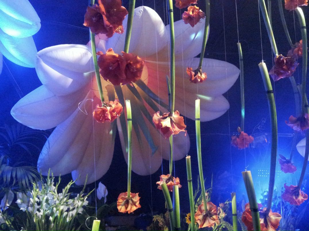 Влад Лейбензон | Хайфа