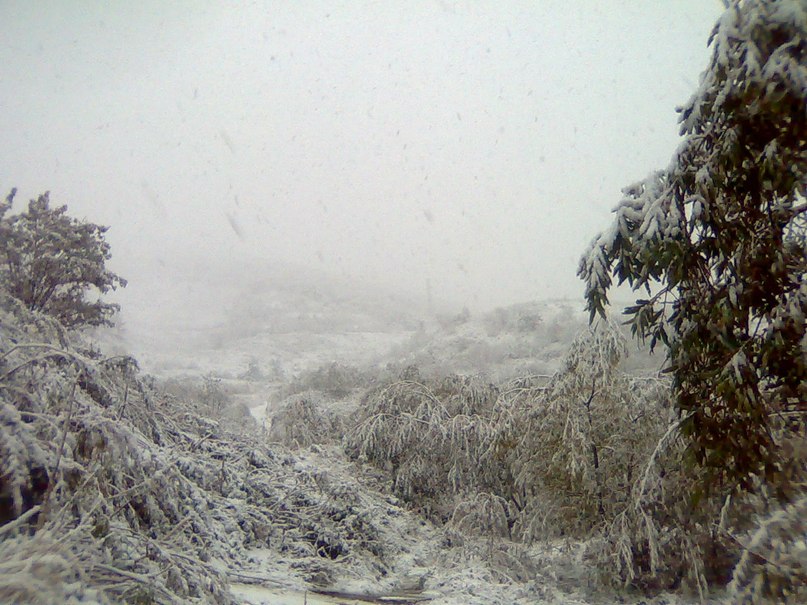 Сергей Терещенков | Холмск