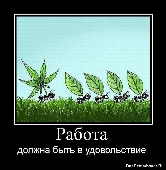 Александр Верещагин | Новосибирск