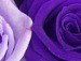 Вася Моськин ღ♥ღ★Единственнаяღ♥ღ | Новокузнецк
