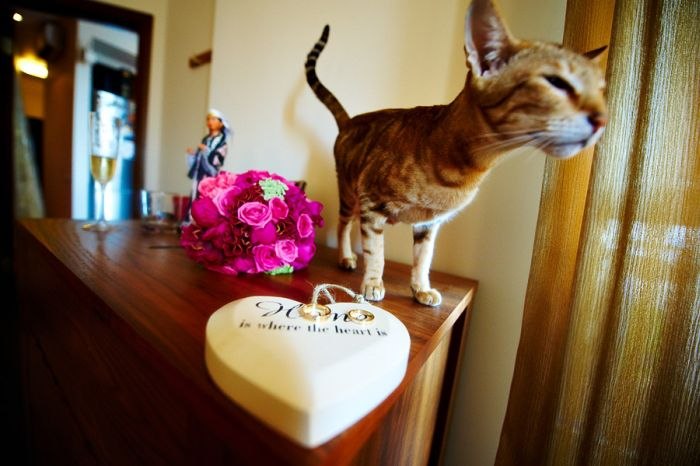 Юленька Артименя | Минск