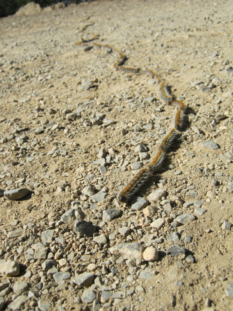 Евгений Козырин | Екатеринбург