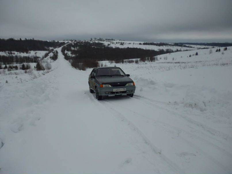 Nikolay Igolnitsin | Woodstock