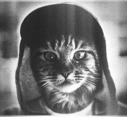 Ivan Ron | Москва