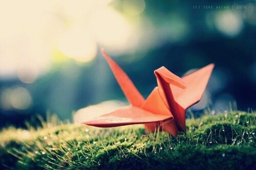 №39, Наталья Войтович, Санкт-Петербург, Россия №39, Наталья Войтович, Санкт-Петербург, Россия