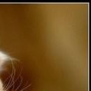 №37, Светлана Теплинская, Старый Оскол №37, Светлана Теплинская, Старый Оскол