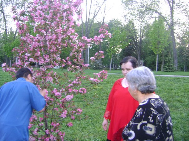 №28, Ринат Кудакаев №28, Ринат Кудакаев