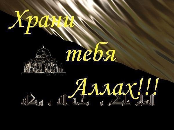 №17, Мухаммад Крымский №17, Мухаммад Крымский