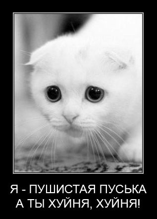 №41, Виктория Ярёменко, 34 года, Новозыбков №41, Виктория Ярёменко, 34 года, Новозыбков