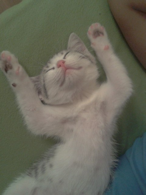 Ляйсан Зиянгирова | Уфа