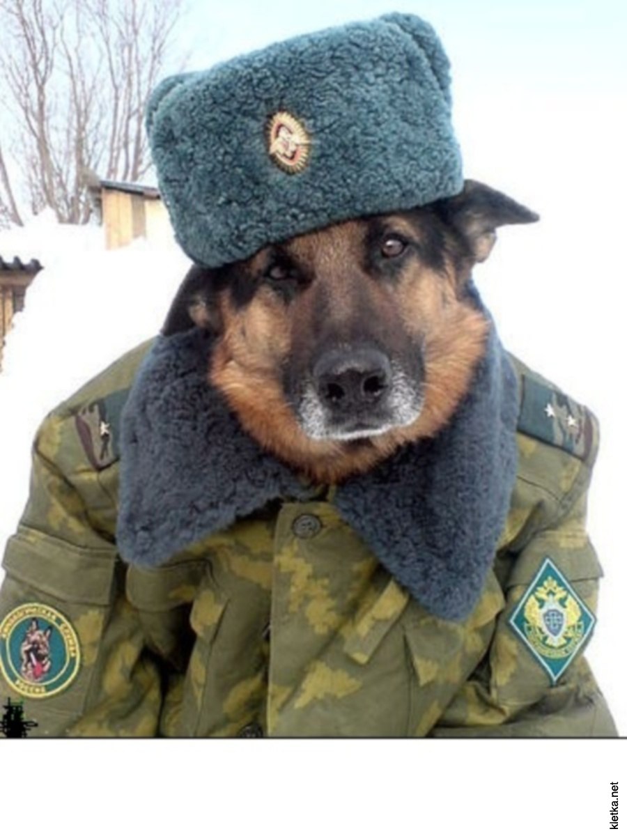 Артем Скочко | Чернигов