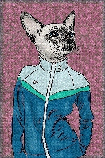 Настя Комиссарова | Североморск