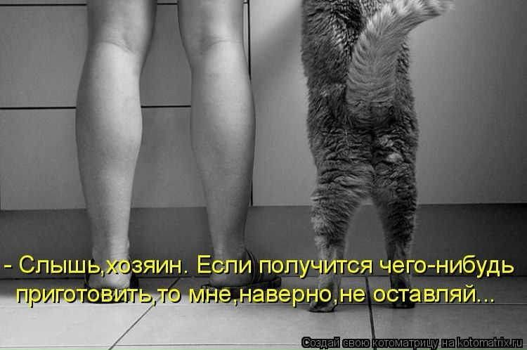 №78, Елена Ленская, Ангарск №78, Елена Ленская, Ангарск