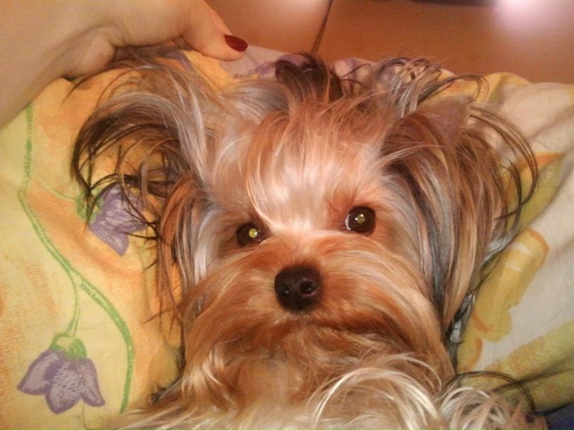 Елена Стригун | Киев