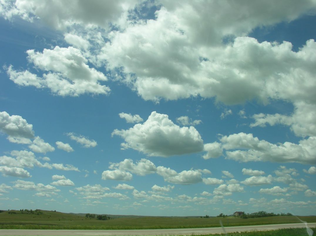Ольга Пикульская | 