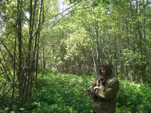 Роман Алтесар | Тверь