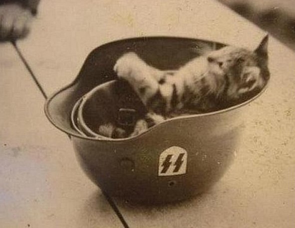 Денис Клепков | Минск