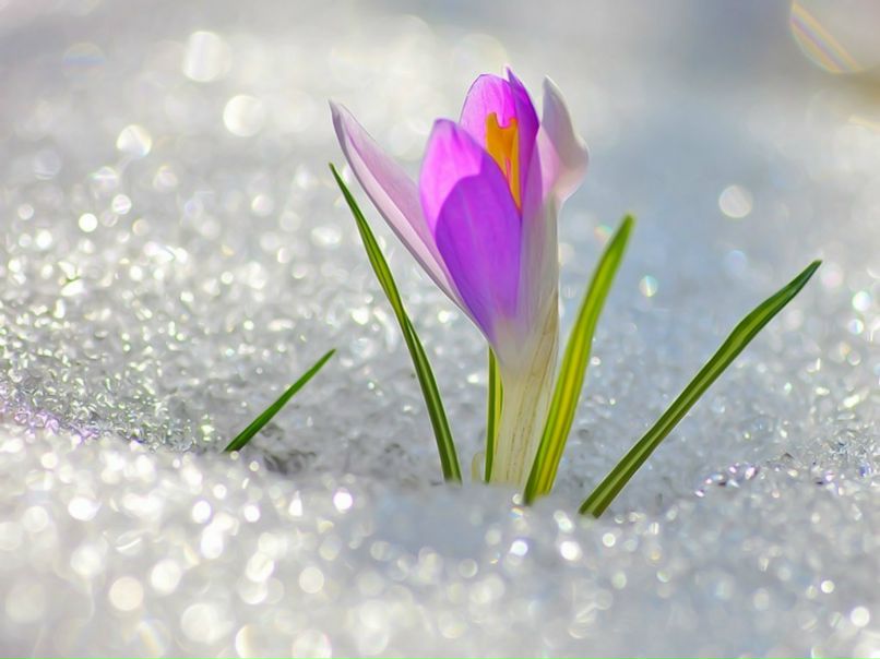 Ірина Мінєєва | Новоград-Волынский