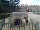 Фотография Анна Собко