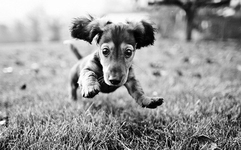 Любовь Машковцева | Пермь