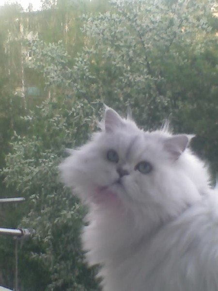 Алёна Важенина Vazhenka | Санкт-Петербург