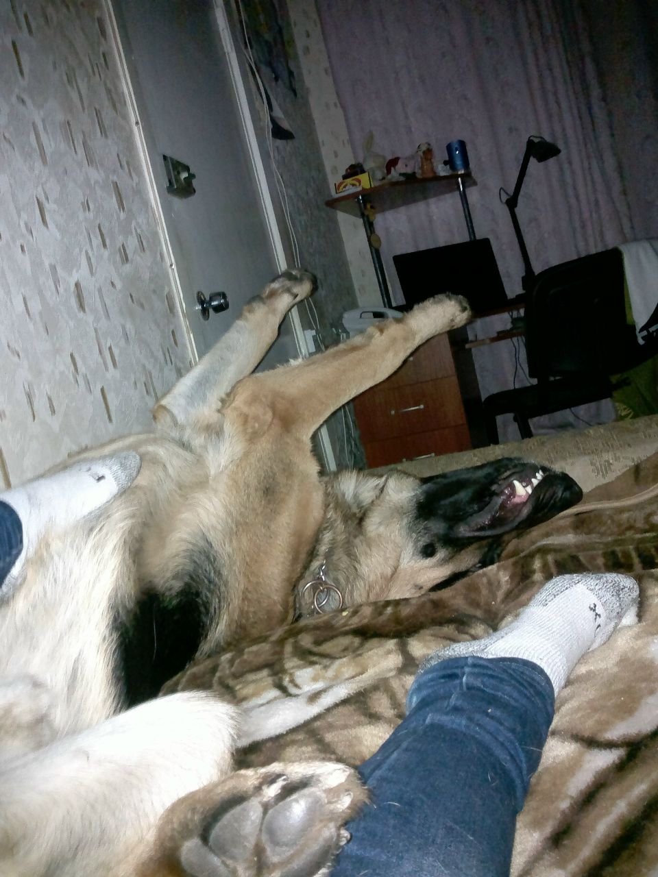 Лилия Евгеньева | Днепр (Днепропетровск)