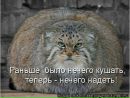 №14 Вика Будылина : профиль, фото, статус - ВКонтакте №14 Вика Будылина : профиль, фото, статус - ВКонтакте