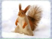 №10 Анастасия Харина 25.01.1990: профиль, фото, статус - ВКонтакте