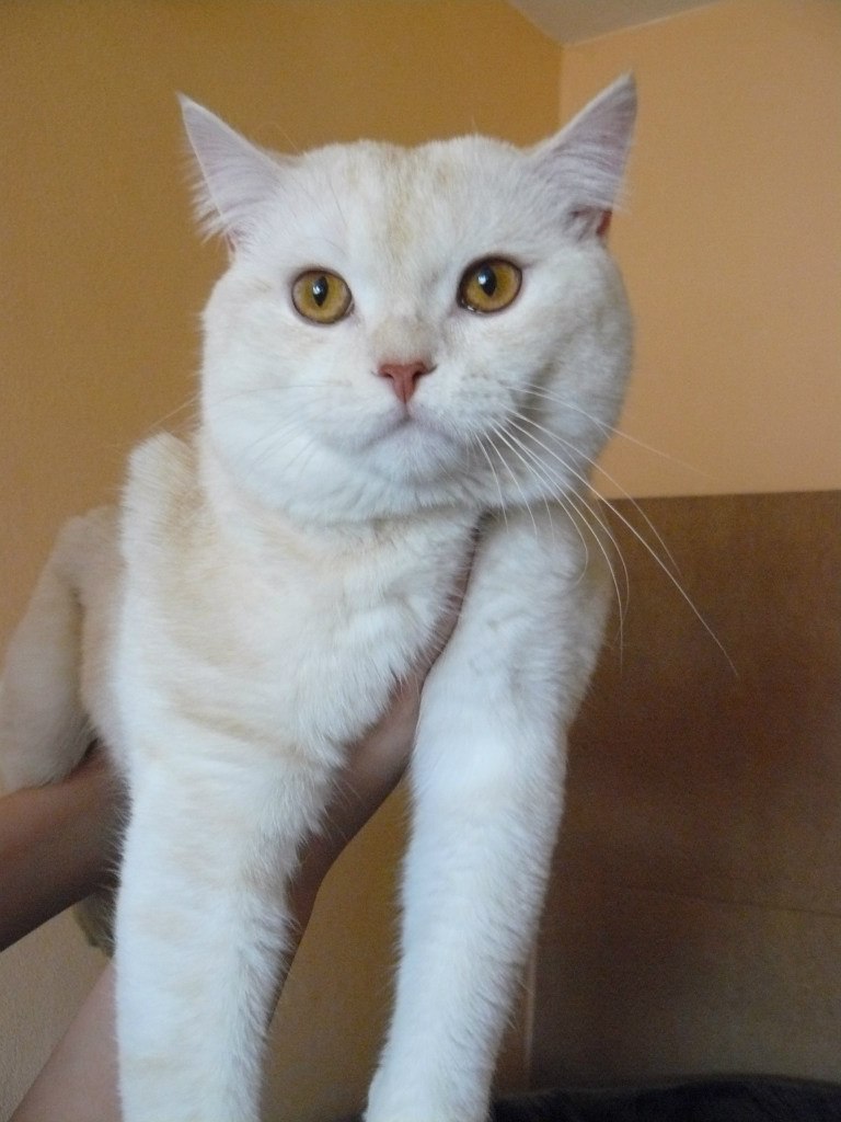 Кирилл Васильев | Новосибирск