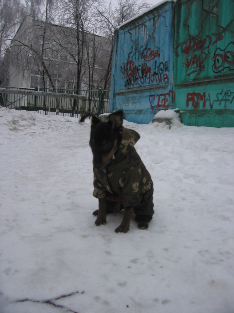 Игорь Григорьев | Москва