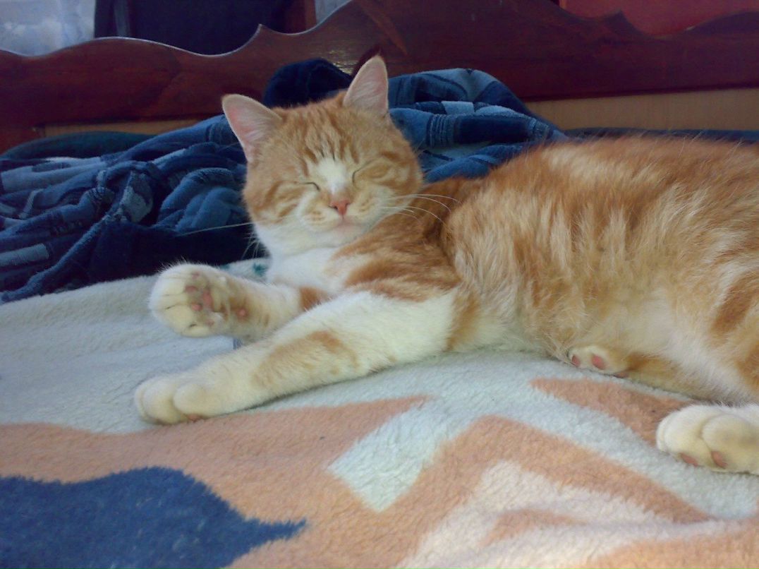 Игорь Михайлов | Кропивницкий / Кировоград